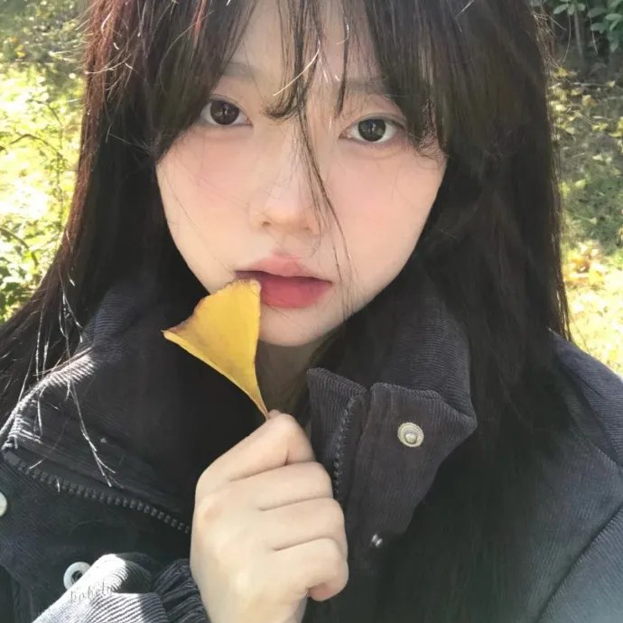 热门剧集